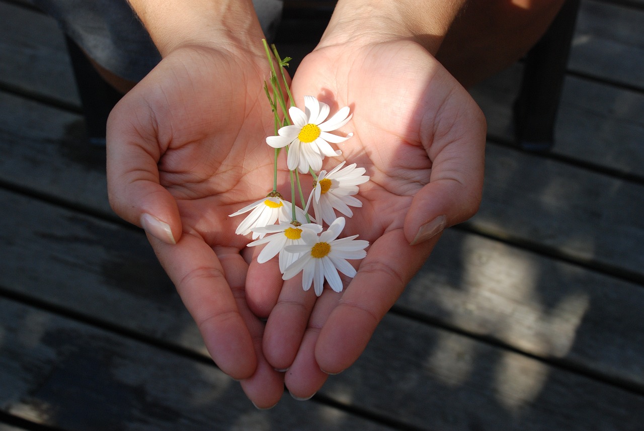 flower, flower background, beautiful flowers